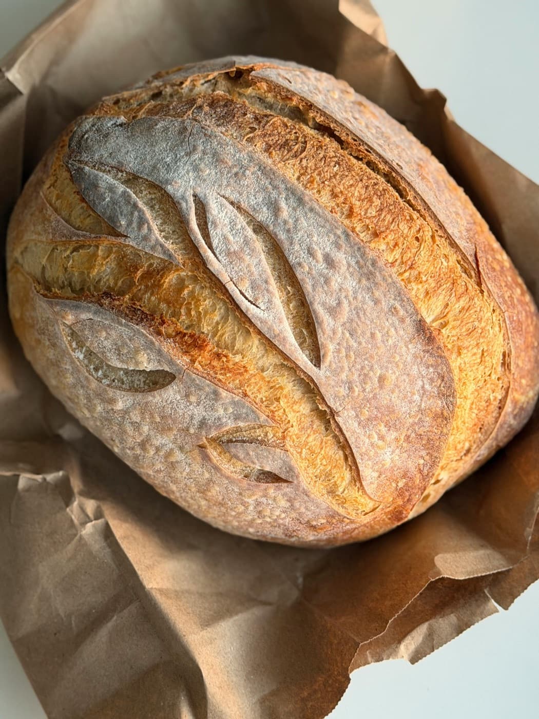 Country Sourdough